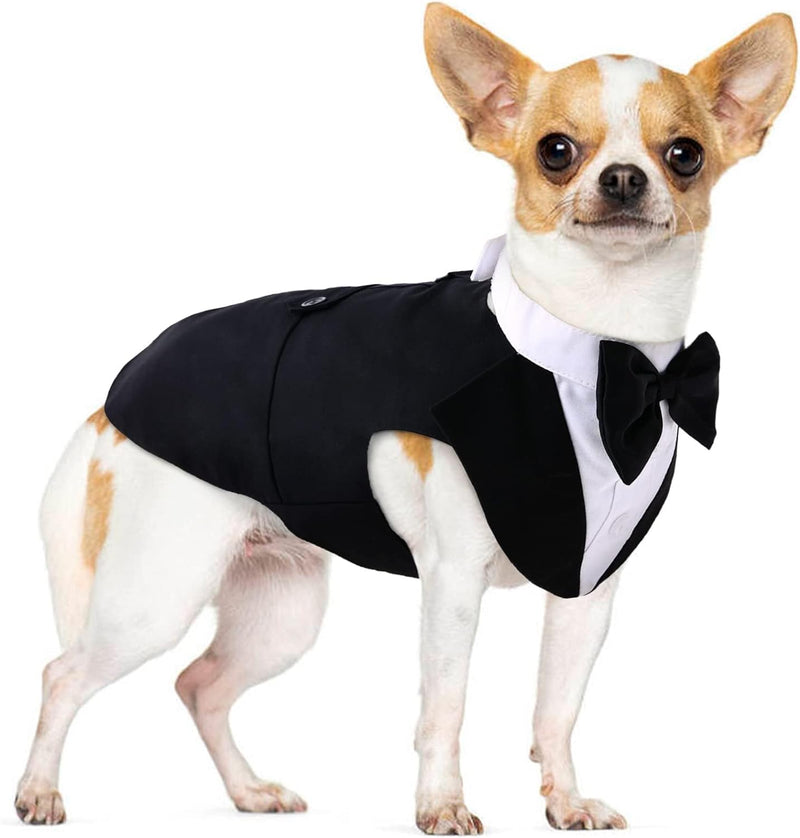 Medium Dog Bowtie Tuxedo Suit
