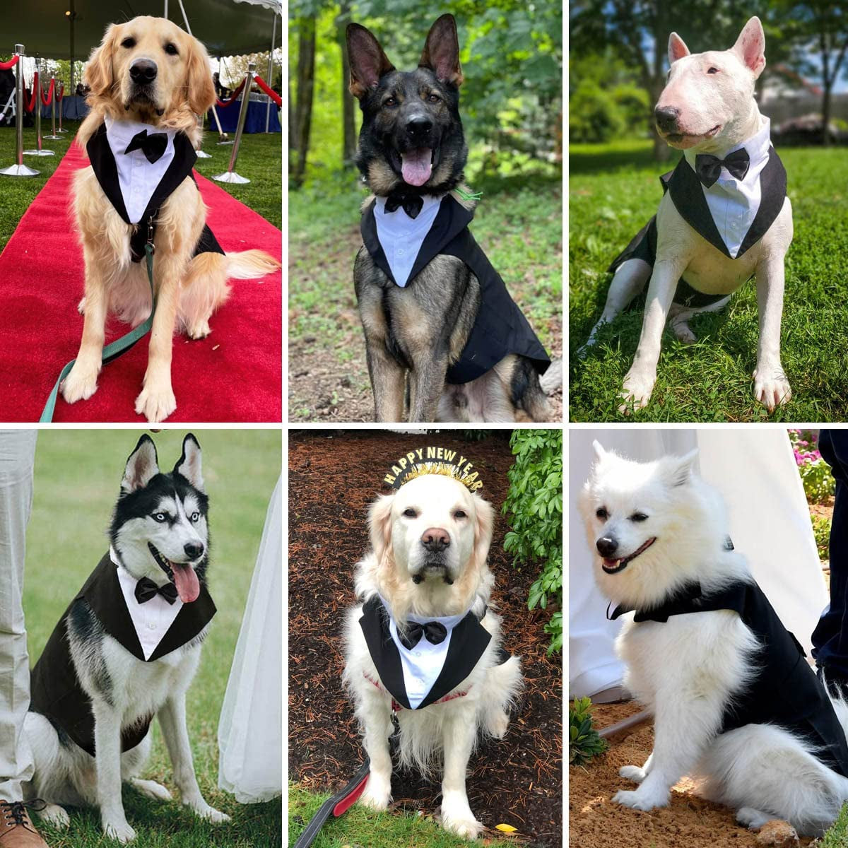 XL Dog Tuxedo Set