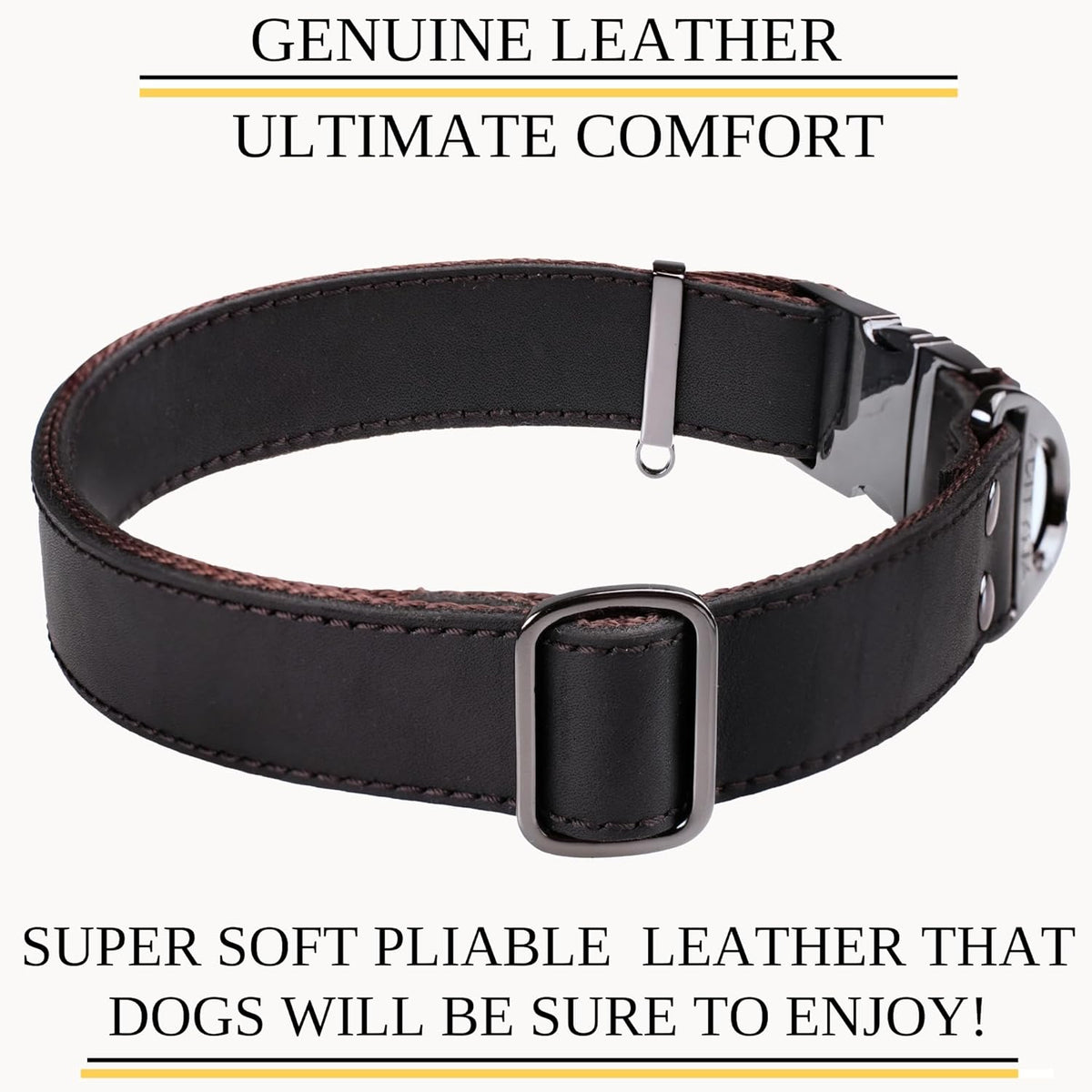 Premium Leather Dog Collar 