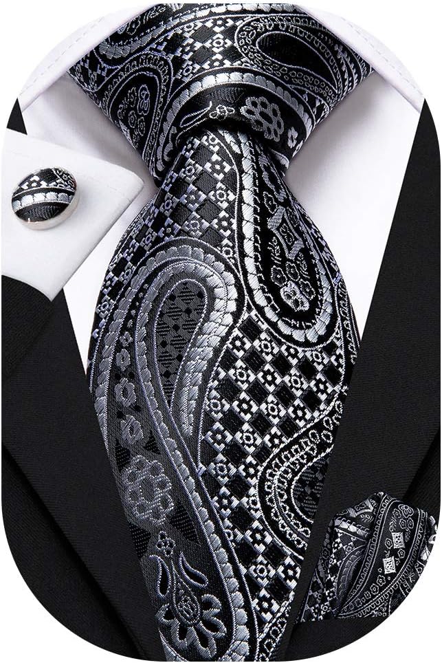 Hi-Tie Silk Paisley Ties for Men Necktie Pocket Square Cufflinks Set Foral Tie Sets Formal Business