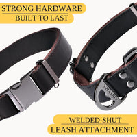 Premium Leather Dog Collar 