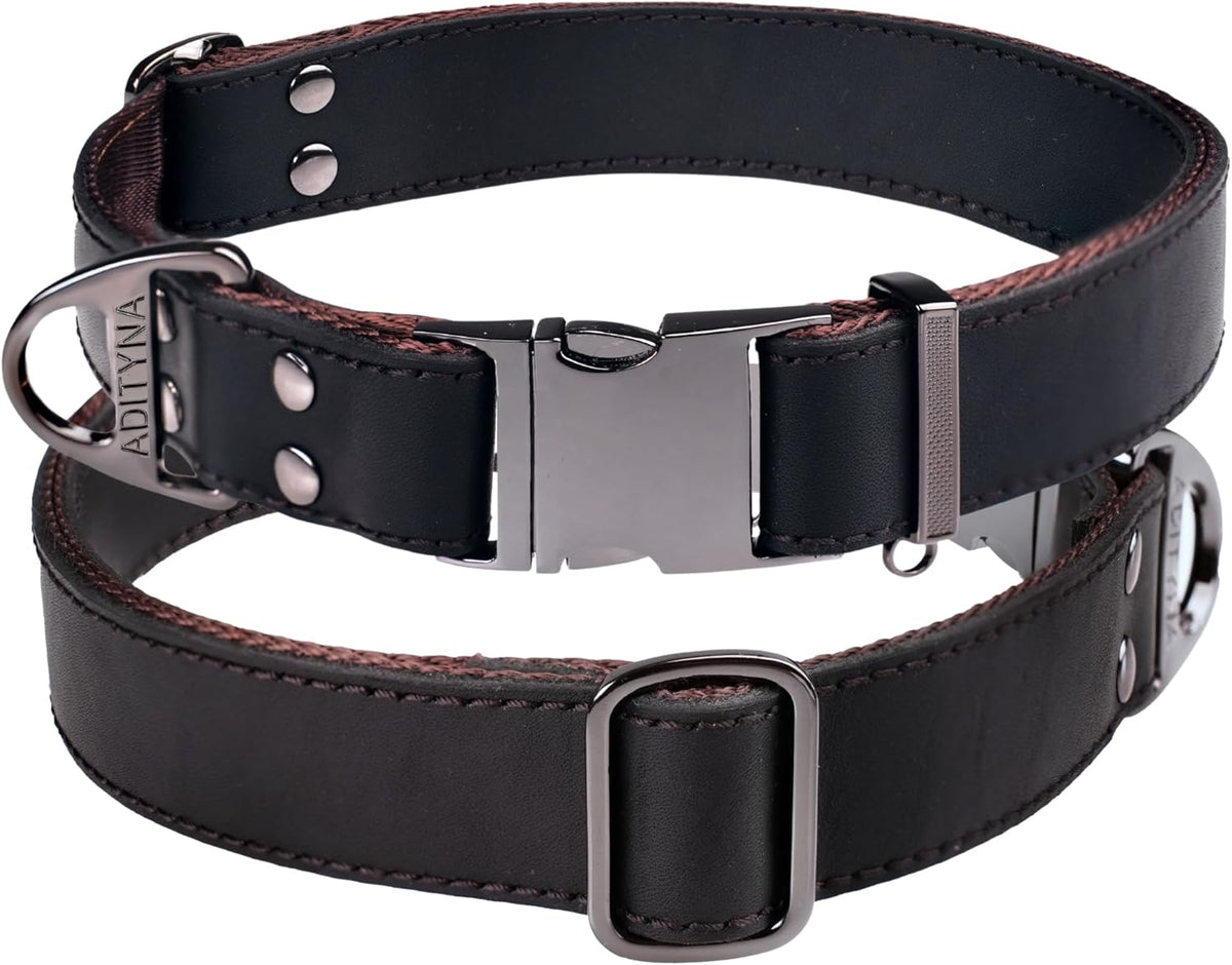 Premium Leather Dog Collar 