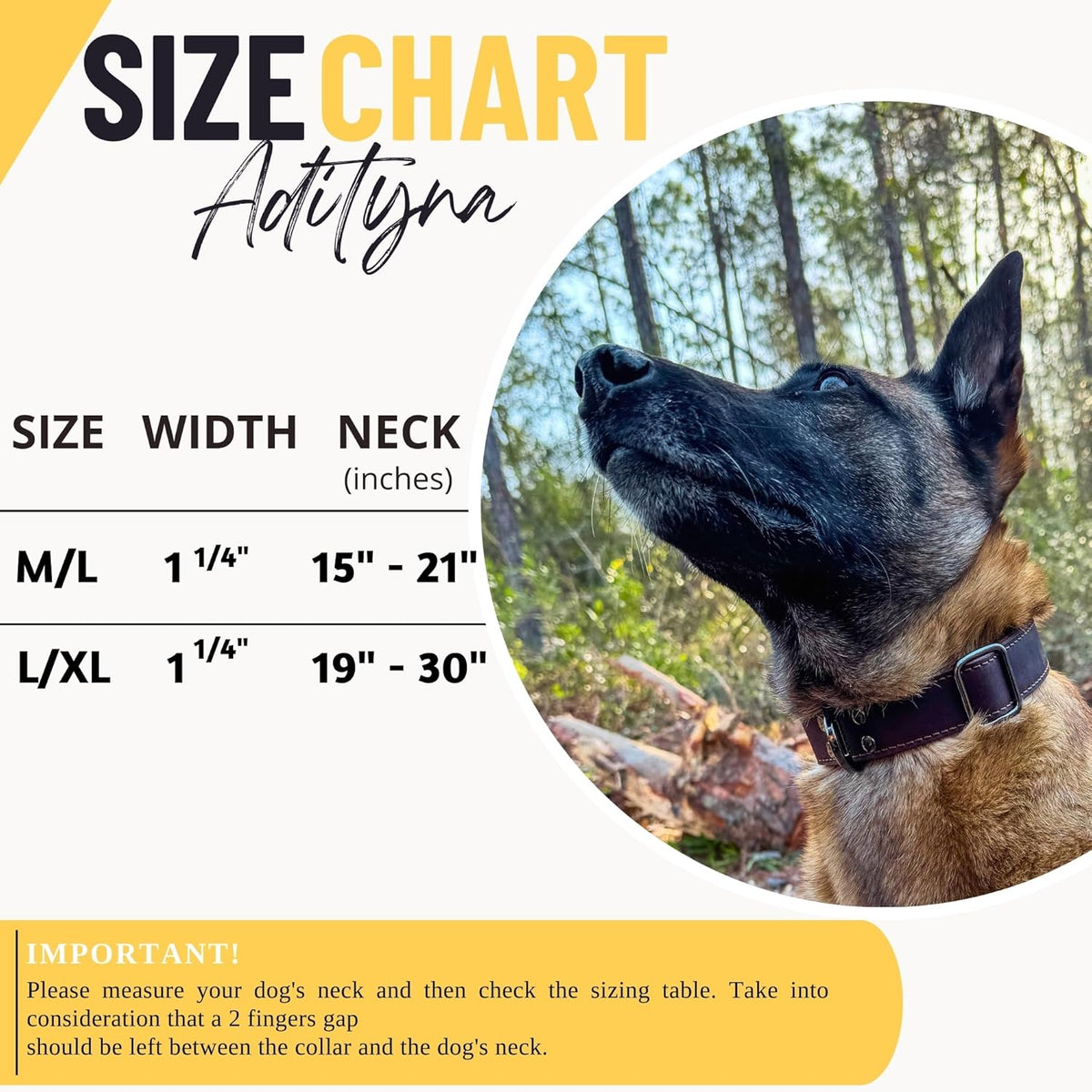 Premium Leather Dog Collar 