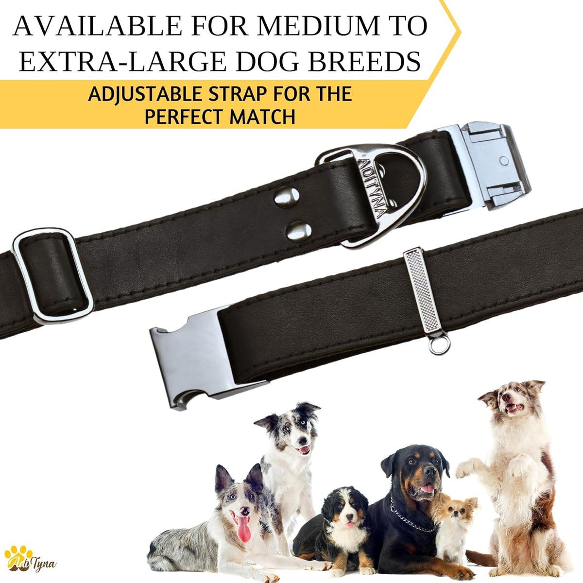 Premium Leather Dog Collar 