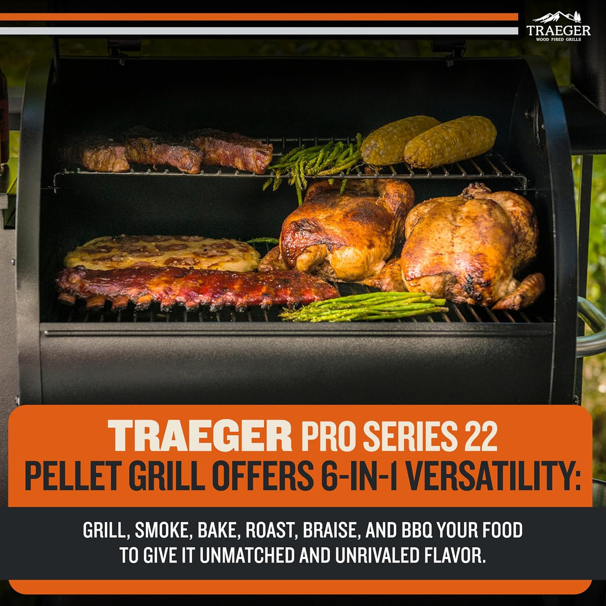 Traeger Grills Pro 22 Wood Pellet Grill & Smoker