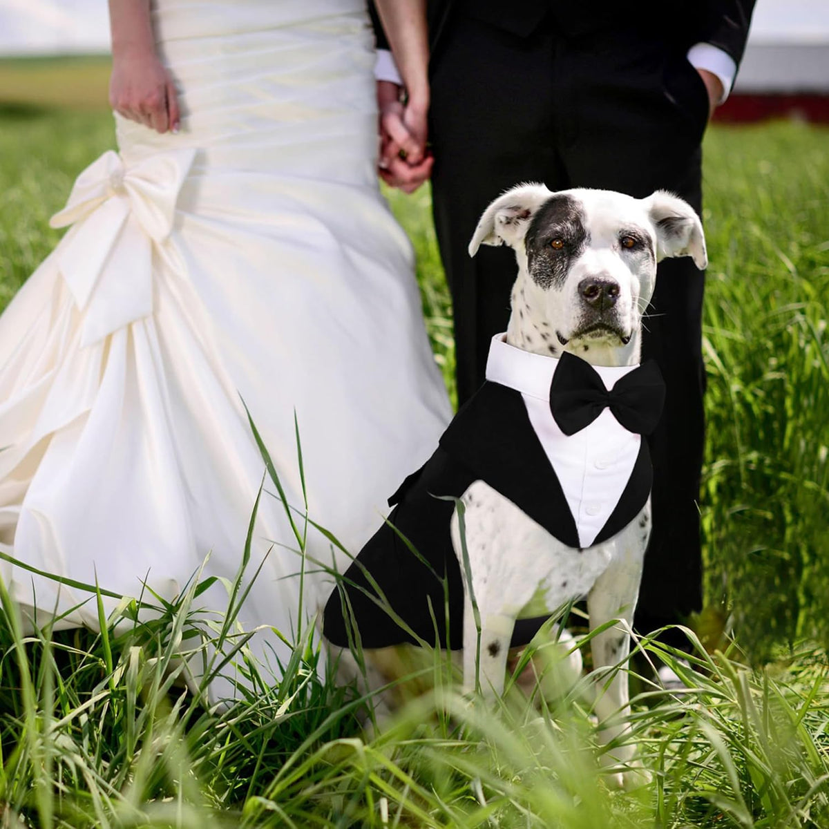 Medium Dog Bowtie Tuxedo Suit