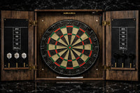 Professional Dart Board