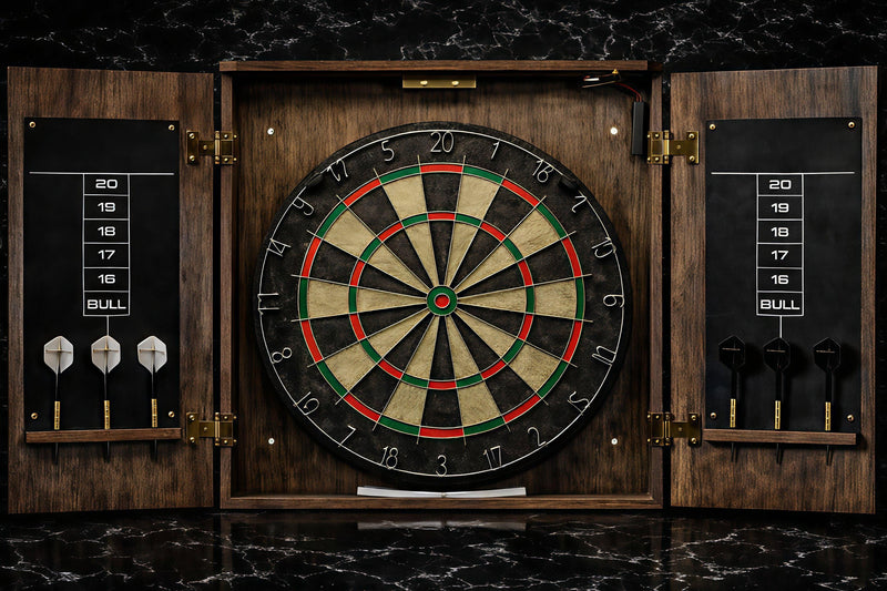 Professional Dart Board
