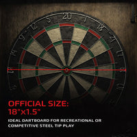 Professional Dart Board