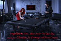 Modern Premium Pool Table