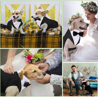 XL Dog Tuxedo Set