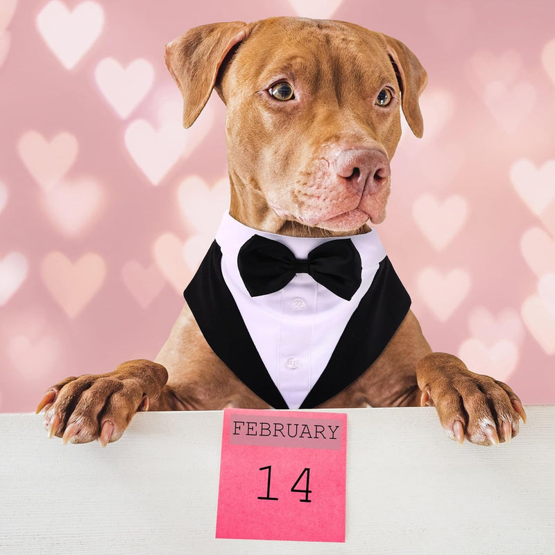 Medium Dog Bowtie Tuxedo Suit