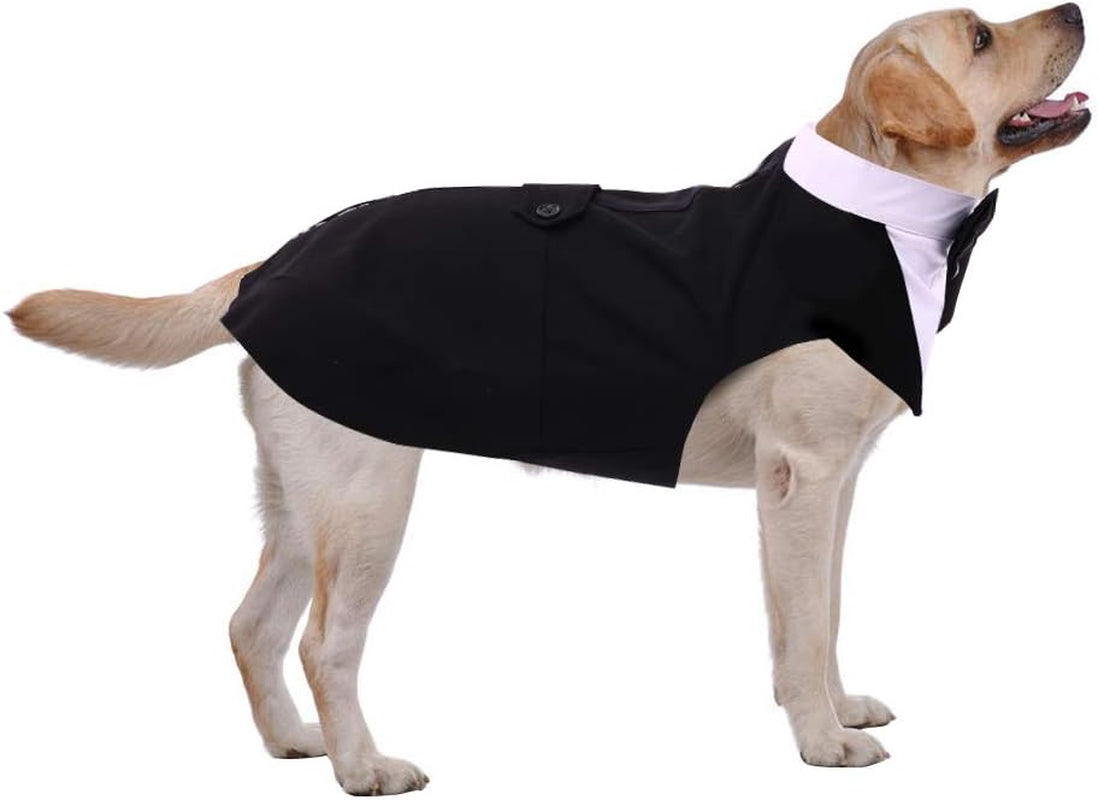 Medium Dog Bowtie Tuxedo Suit
