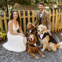 XL Dog Tuxedo Set